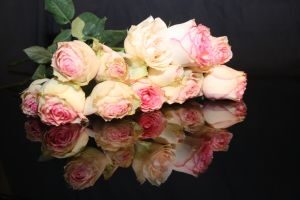 kwiaty, kwiaciarnia, kwiaciarnia internetowa, kwiaty online, kwiaciarnia online, poczta kwiatowa 